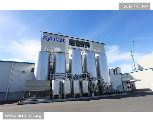 尊龙集团在游戏产业链中的上下游合作与资源整合优势