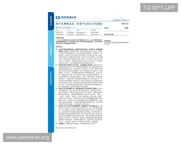 尊龙体育产业市场分析：当前体育产业市场规模与未来增长潜力探讨